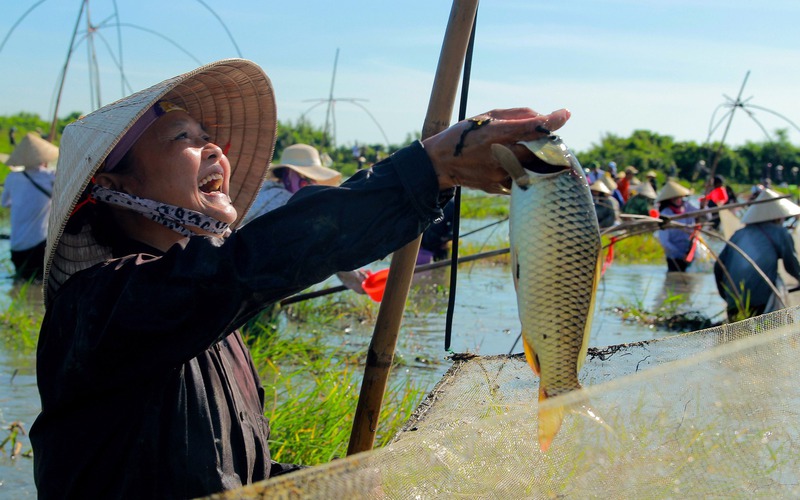 Tháng 6 độc đáo với Lễ hội đánh bắt loài này trên sông Vực Rào, Hà Tĩnh