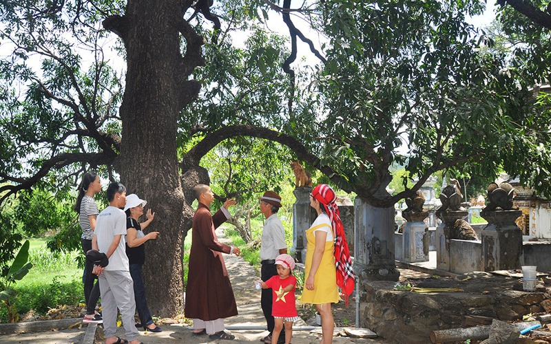 Vùng đất ở Phú Yên từng là tiểu quốc Hoa Anh, cái nôi của Phật giáo đàng Trong, khởi tích Thiên Chúa giáo