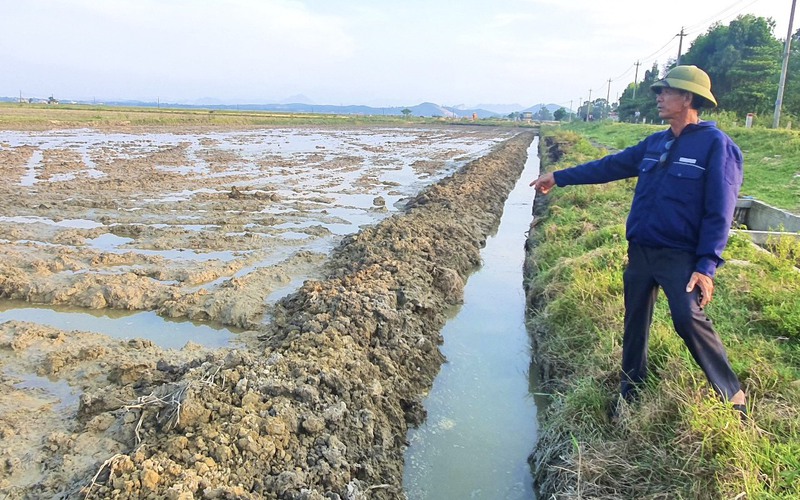 Chủ tịch UBND tỉnh Quảng Bình chỉ đạo kiểm tra, xử lý vụ một doanh nghiệp phá ruộng của nông dân