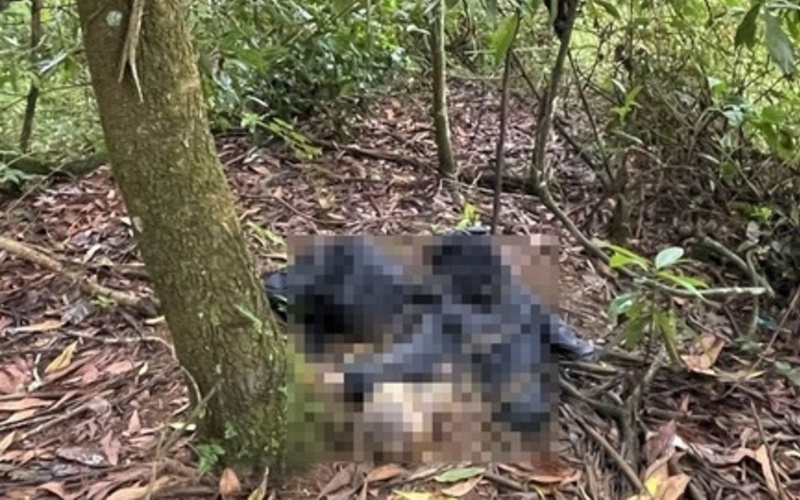 Hòa Bình: Bàng hoàng phát hiện thi thể người đàn ông trên rừng
