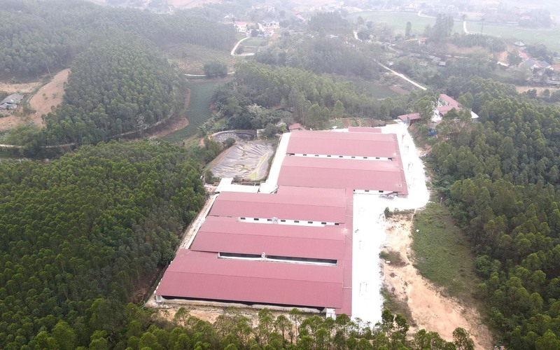 Hơn 7.000m2 đất rừng bị "biến" thành trang trại nuôi lợn ở Vĩnh Phúc: Không tự tháo dỡ, sau 31/8 sẽ tiến hành cưỡng chế?