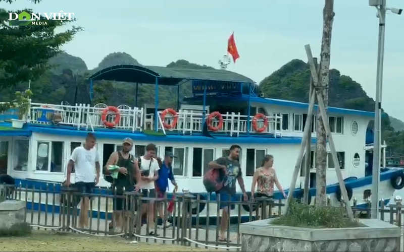 Video: Đón du khách tham quan trên vịnh về nơi tránh bão ở Cát Bà