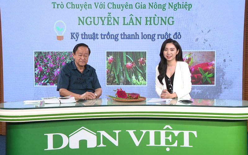 GÓC CHUYÊN GIA: Chuyên gia Nguyễn Lân Hùng hướng dẫn về kỹ thuật bón phân cho cây thanh long ruột đỏ