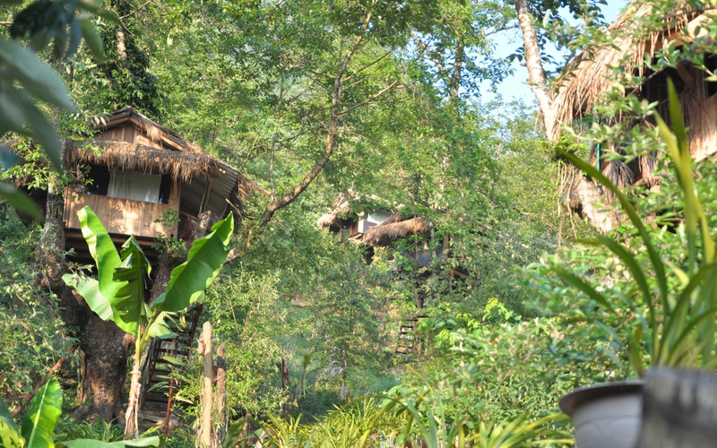Tiếp khách trên nhà "tổ chim", đến mùa hái "vàng đỏ", Tết bán hoa tiến vua, dân bản Mông kiếm trăm triệu/năm
