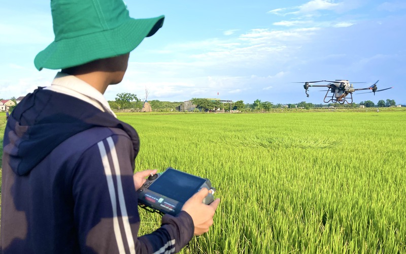 Quảng Bình: Nông dân dùng máy bay không người lái để phun thuốc trừ sâu, rải phân trên ruộng lúa