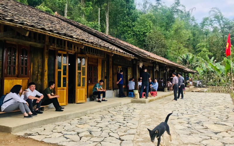 Một thung lũng ở Cao Bằng còn vô số nhà cổ, có cây cổ thụ thẳng tắp, tổ ong khoái to như manh chiếu