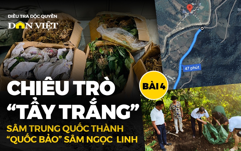 Những đêm trắng lùng bắt sâm lậu giá rẻ (Bài 4)