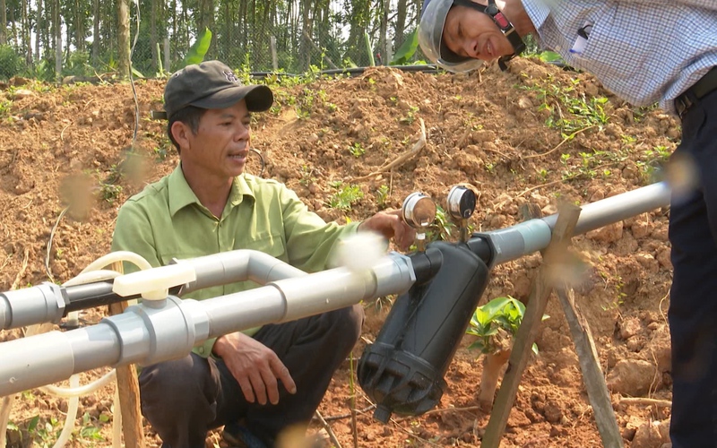 Nông dân ở Quảng Nam rất nhàn rỗi khi áp dụng công nghệ số vào cuộc sống