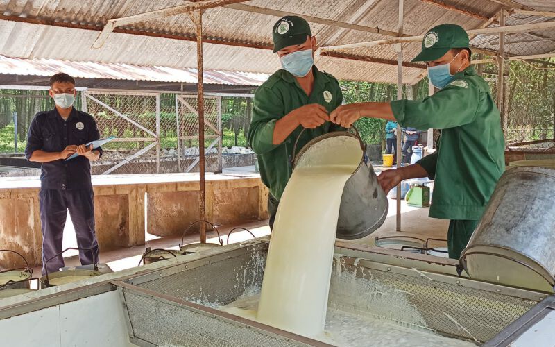 6 tháng liên tiếp Trung Quốc tăng mua một loại lâm sản của Việt Nam