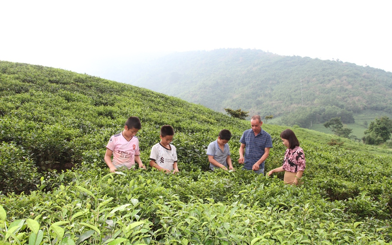 Anh thợ cơ khí Thái Nguyên bỏ nghề về làm du lịch cộng đồng hút khách, có cái bể bơi bên suối