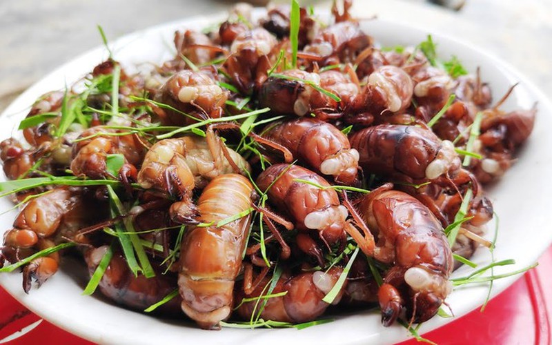 Món ngon độc đáo làm nên nền ẩm thực Tây Nguyên