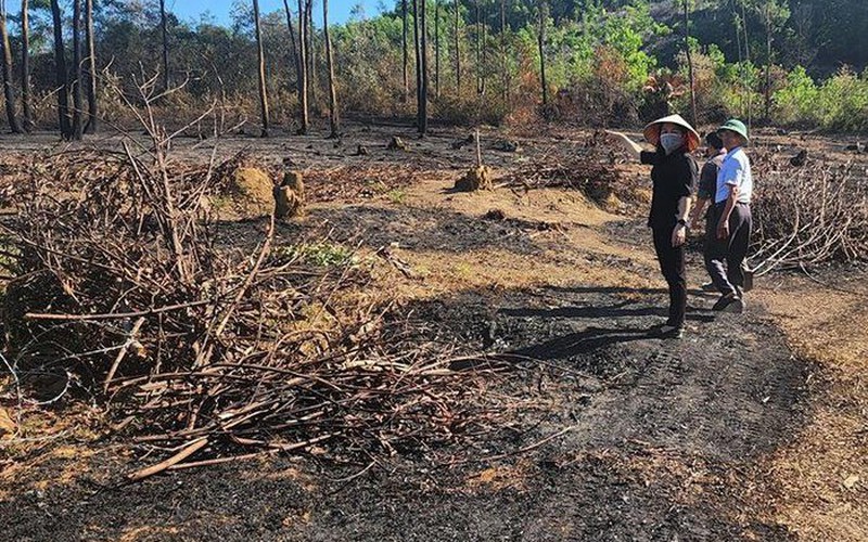 Hà Tĩnh: Đốt lửa dọn vườn, cháy lan sang rừng trồng, cụ ông gặp nạn tử vong
