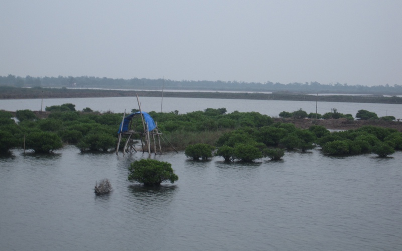 Quyết định thu hẹp Khu Bảo tồn thiên nhiên Tiền Hải chưa xin ý kiến Bộ TNMT