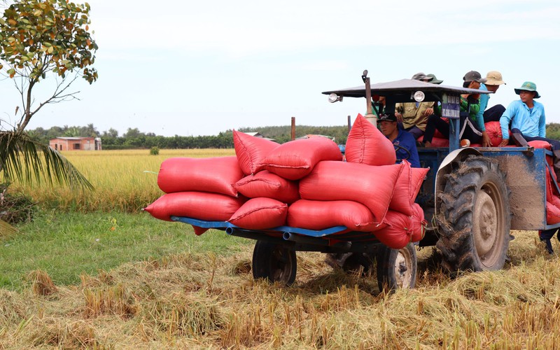 Toàn cầu lên cơn sốt, 4 mặt hàng nông sản của Việt Nam tăng giá trị xuất khẩu
