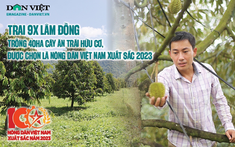 Trồng 40ha cây ăn trái hữu cơ, 9X Lâm Đồng được chọn là nông dân Việt Nam xuất sắc 2023