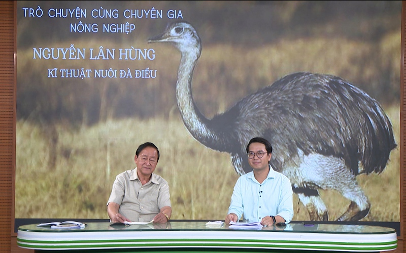 GÓC CHUYÊN GIA: Cùng chuyên gia Nguyễn Lân Hùng tìm hiểu về kỹ thuật nuôi đà điểu