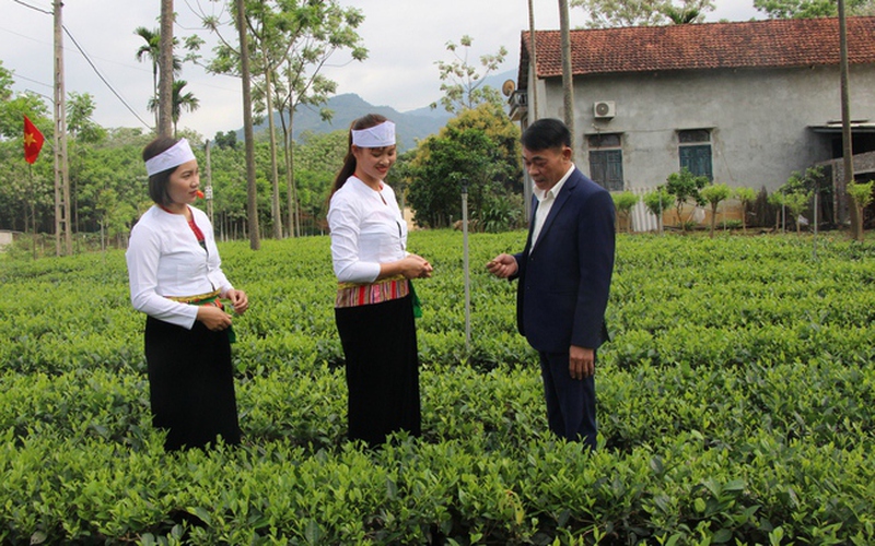 Thủ tướng Chính phủ công nhận một huyện của Thủ đô Hà Nội đạt chuẩn nông thôn mới 