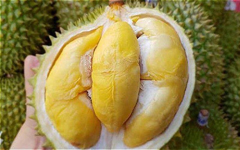 Giá sầu riêng ngày 14/9: Sầu riêng Thái bất ngờ tăng giá mạnh trở lại