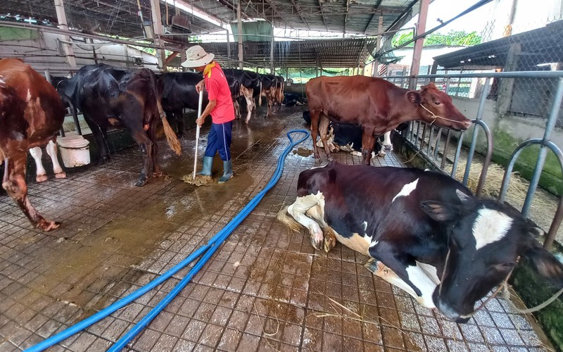 Kiểm soát ô nhiễm môi trường các làng nghề tại TP.HCM