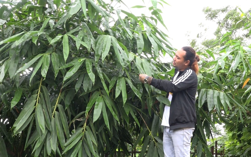 Làm ống hút tre từng bị chê thô kệch, nay anh nông dân Phú Thọ xuất bán sang Hàn Quốc, Ấn Độ