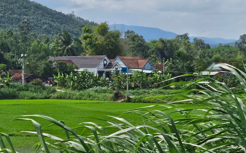 Một xã của tỉnh Bình Định, làng quê đẹp như tranh, người dân trồng rau, hoa mà thu 53,5 triệu đồng/người/năm