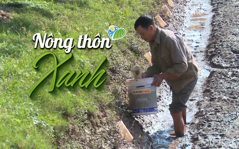 NÔNG THÔN XANH: Nông nghiệp hữu cơ xanh tại An Thanh, "một mũi tên trúng nhiều đích"