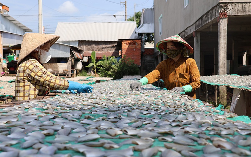 Cả làng ở Đồng Tháp phơi la liệt khô cá ăn tết, khô cá sặc bán 280.000 đồng/kg