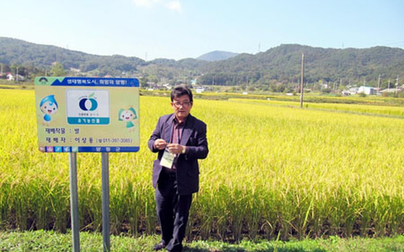 Nam Định: Vận động nông dân xây dựng cánh đồng lúa hữu cơ
