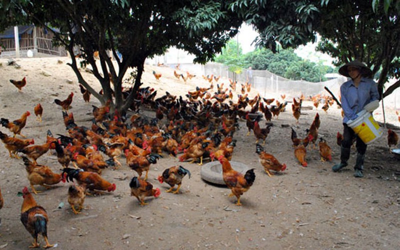 Chiến thắng nỗi sợ hãi nợ nần