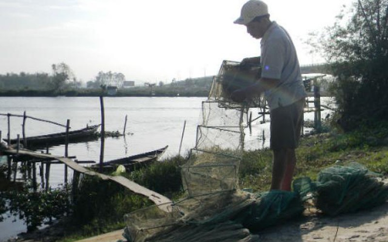 Quảng Nam: Ngày tết, thu tiền triệu đồng nhờ tôm, cá