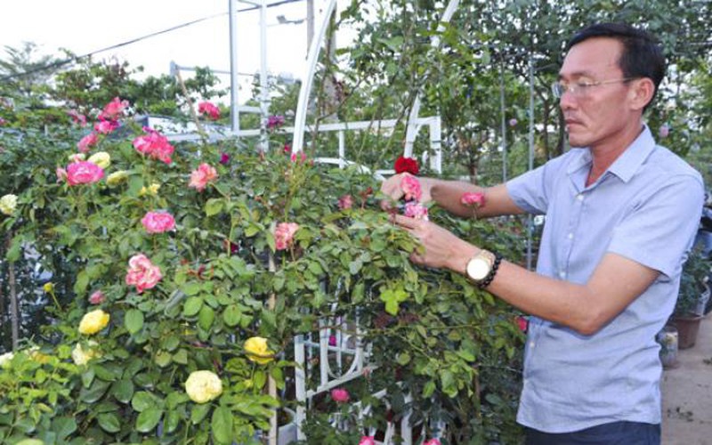 Từ đam mê hoa hồng đến ông chủ vườn hồng bạc tỷ