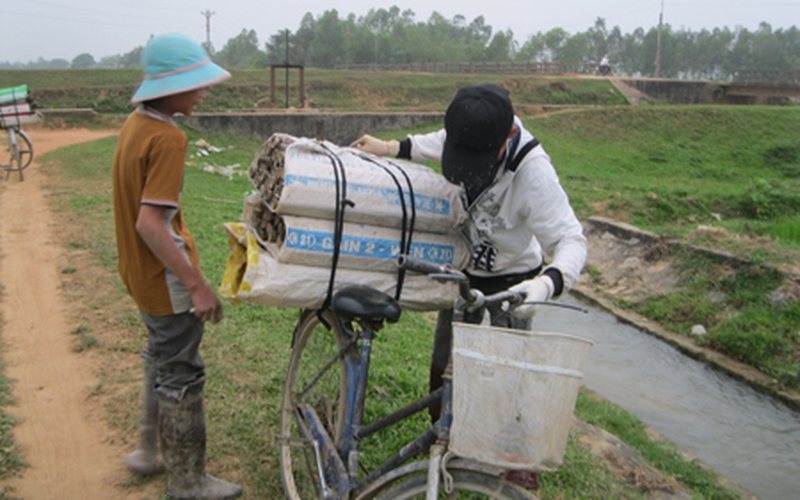 Lươn Yên Thành xuất ngoại