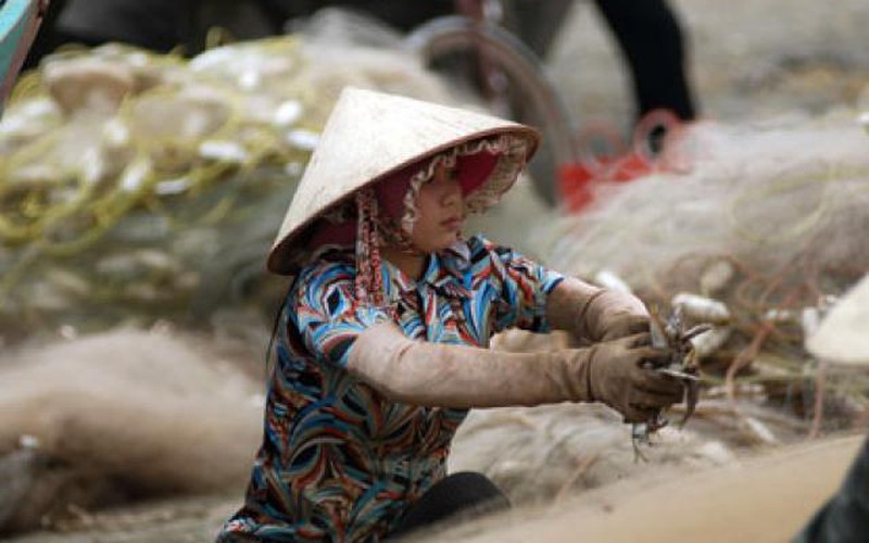 Phụ nữ làm nông nghiệp: Quyền lợi ít, cực khổ nhiều