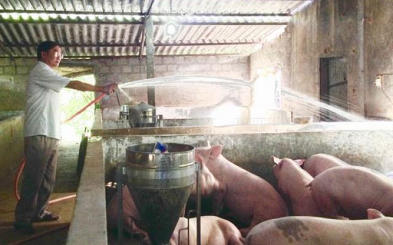 Bỏ nghề may vá, khấm khá nghề nông