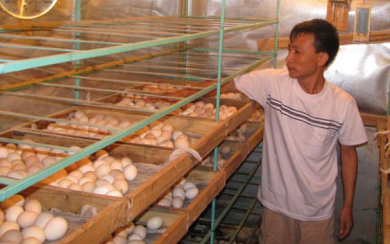 Trang trại vẫn khó khăn về vốn, chứng nhận