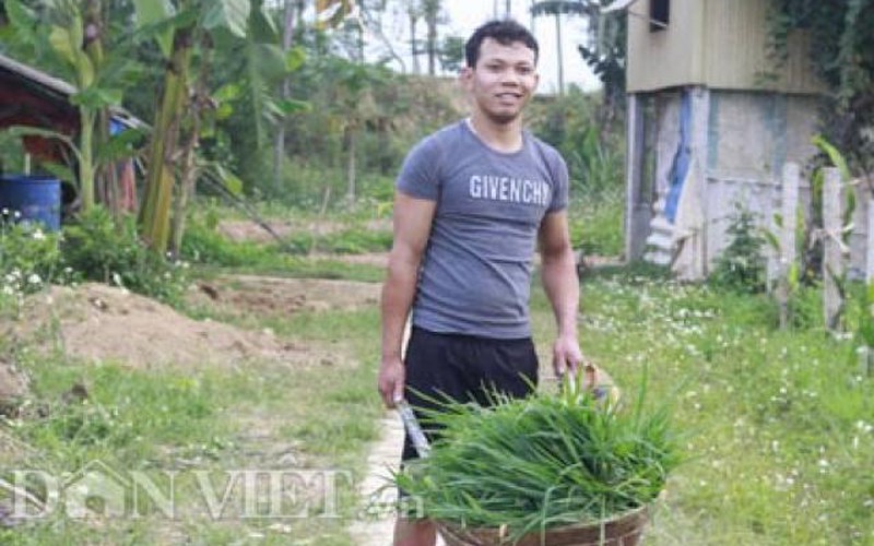 Trồng cỏ, thả cá, nuôi giun cho lợn rừng ăn,“hotboy” xóm lãi 400 triệu/năm