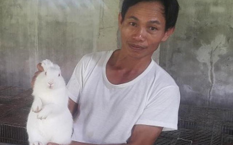 Làm giàu ở nông thôn: Nuôi thỏ bắt ăn kham khổ, bán đắt như tôm tươi