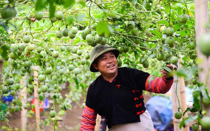 Ra mắt HTX nông nghiệp đầu tiên của người Mông ở Vân Hồ