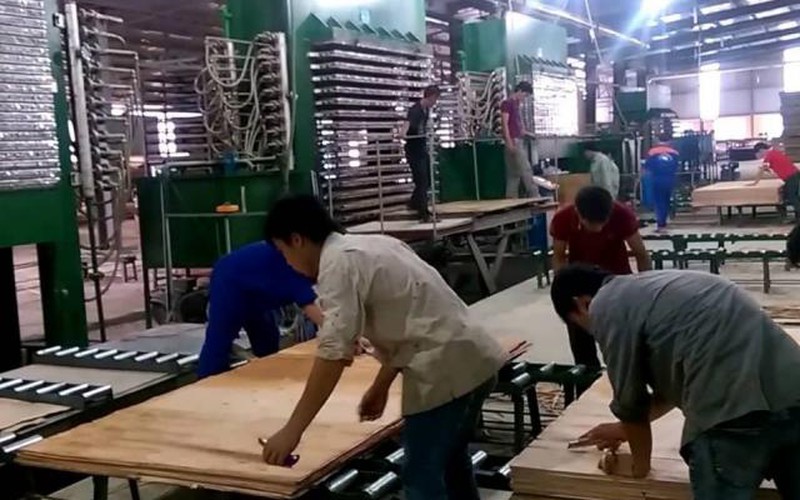 Chuyện lạ: Doanh nghiệp gỗ Trung Quốc ồ ạt sang Việt Nam đầu tư?