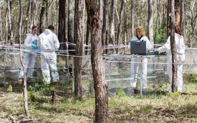Úc: Phát hiện rợn người về những cánh tay chuyển động trong "trang trại người chết"