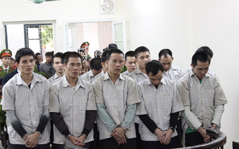 “Đội hình” chuyên trộm gỗ sưa liên tỉnh lĩnh án