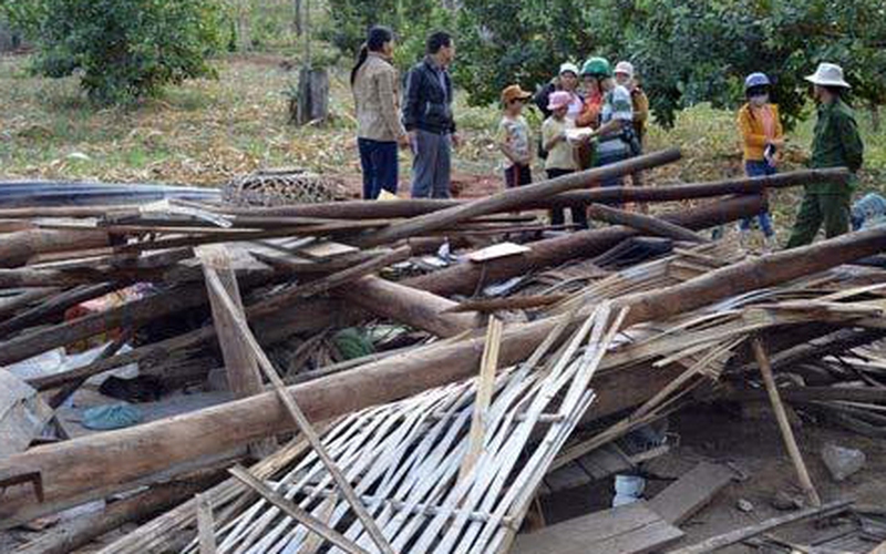 Vụ voi phá nhà dân ở Đăk Nông: Cục Kiểm lâm vào cuộc