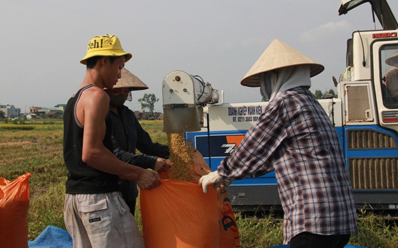 Sản xuất vụ Đông 2014: Hỗ trợ chỉ mang tính “động viên”