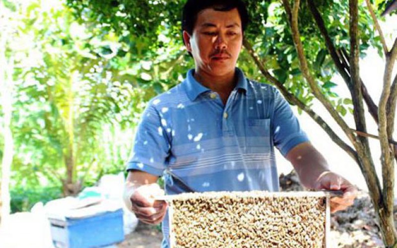 Bán mật ong “non”, tồn dư đậu nành, nhiều DN bị EU cảnh báo