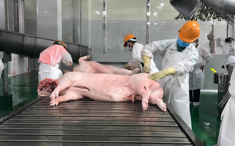 Khánh thành nhà máy chế biến thịt lợn "khủng" nhất miền Bắc