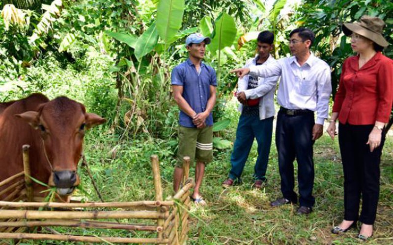 Hỗ trợ cây, con giống và tập huấn kỹ thuật giúp nông dân vươn lên làm giàu