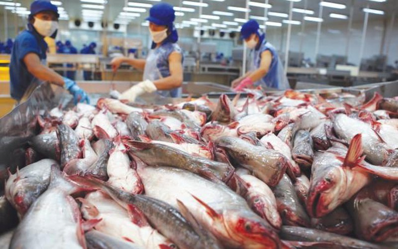 Tin vui: Mỹ công nhận hệ thống kiểm soát ATTP cá tra Việt