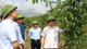 Phong Thổ: Đạt nhiều kết quả mới trong lĩnh vực nông nghiệp