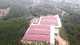 Hơn 7.000m2 đất rừng bị "biến" thành trang trại nuôi lợn: Không tự tháo dỡ, sau 31/8 sẽ tiến hành cưỡng chế?