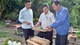 Người dân nơi đây nuôi ong dưới tán rừng thế nào mà thu nhập thêm tới hơn 100 triệu đồng/năm